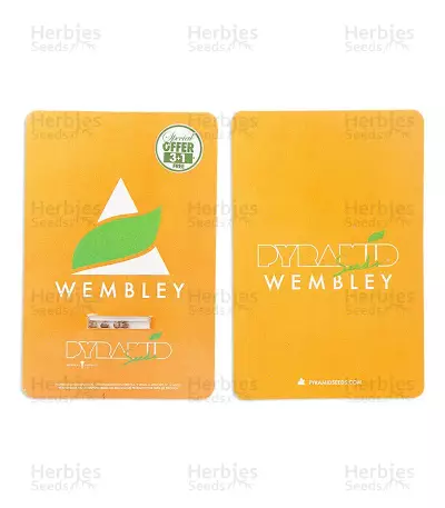 Wembley (Pyramid Seeds) Cannabis-Samen