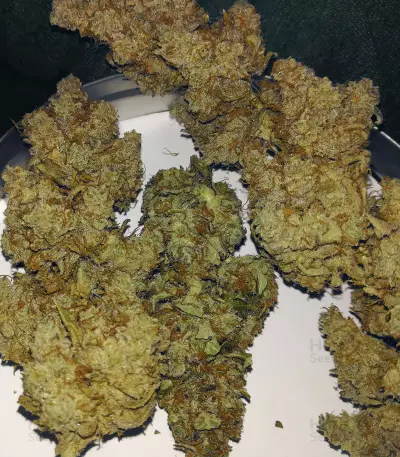 Pineapple Glue (Advanced Seeds) Cannabis-Samen