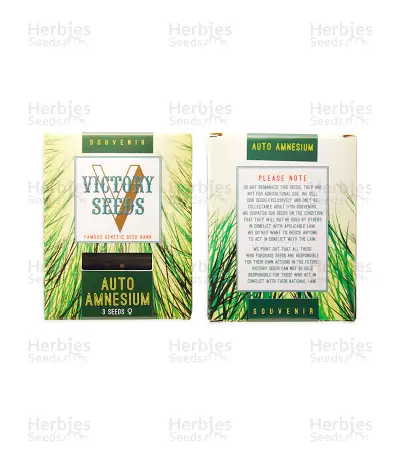 Auto Amnesium (Victory Seeds) Cannabis-Samen