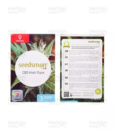 CBD Hash Plant (Seedsman Seeds) Cannabis-Samen