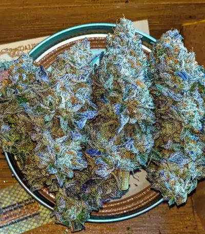 Bubba Kush Samen feminisiert (Barney's Farm)