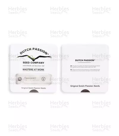 Passion #1 regular (Dutch Passion) Cannabis-Samen
