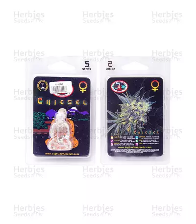 Chiesel (Big Buddha Seeds) Cannabis-Samen