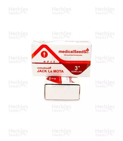 Jack La Mota (Medical Seeds) Cannabis-Samen