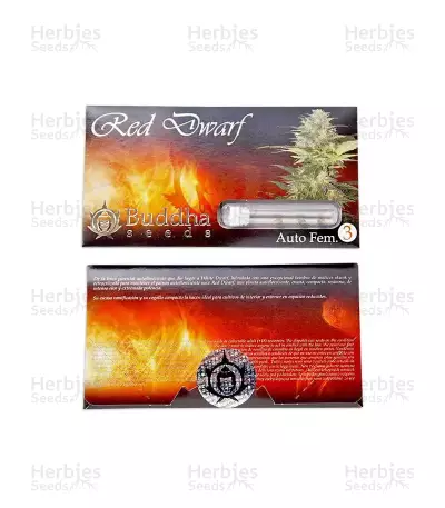 Buddha Red Dwarf Auto (Buddha Seeds) Cannabis-Samen