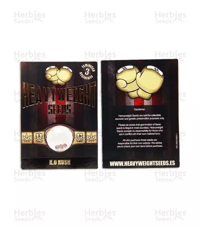 K.O. Kush (Heavyweight Seeds) Cannabis-Samen