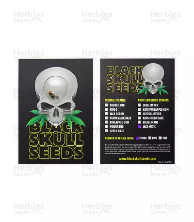 Jack-Matic Auto (Blackskull Seeds) Cannabis-Samen