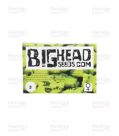 Julies Cookies (Big Head Seeds) Cannabis-Samen