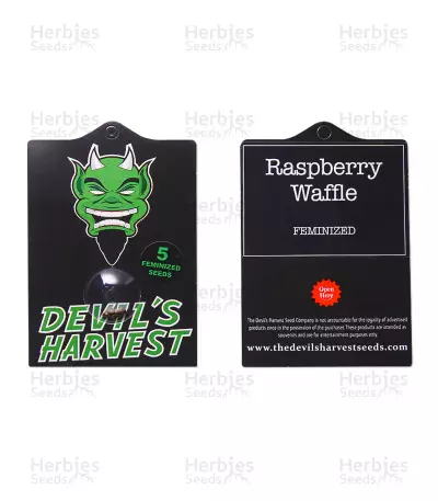 Raspberry Waffle CBD (Devils Harvest Seeds) Cannabis-Samen