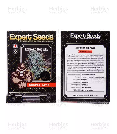 Gorilla (GG#4 Original Glue) (Expert Seeds) Cannabis-Samen