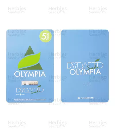 Olympia (Pyramid Seeds) Cannabis-Samen