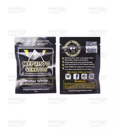 Walter White Auto (Mephisto Genetics) Cannabis-Samen