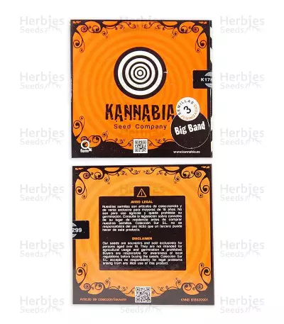Big Band (Kannabia Seeds) Cannabis-Samen