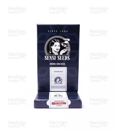 Northern Lights Automatic (Sensi Seeds) Cannabis-Samen
