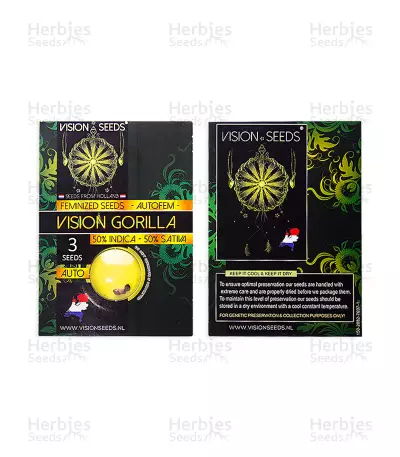 Vision Gorilla Auto (Vision Seeds) Cannabis-Samen