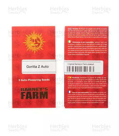 Gorilla Z Auto feminisiertes Saatgut (Barney's Farm)