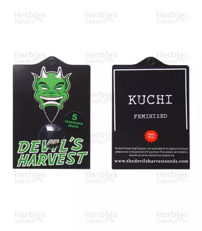 Kuchi (Devils Harvest Seeds) Cannabis-Samen