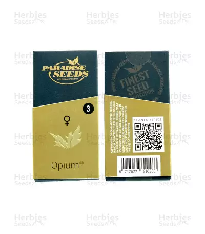 Opium (Paradise Seeds) Cannabis-Samen