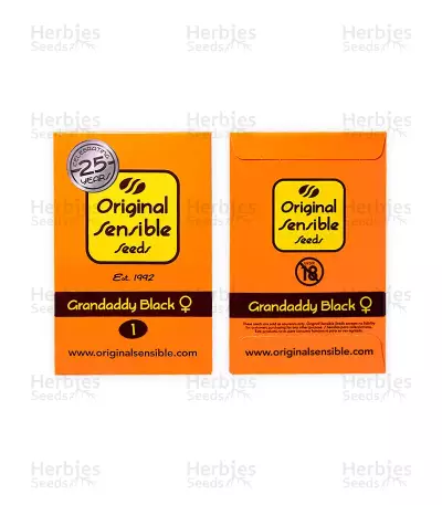 Grandaddy Black (Original Sensible Seeds) Cannabis-Samen