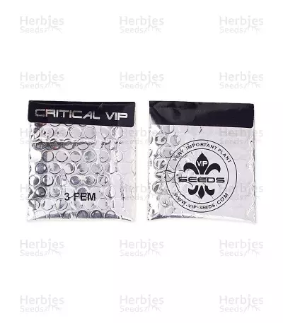 Critical VIP (VIP seeds) Cannabis-Samen
