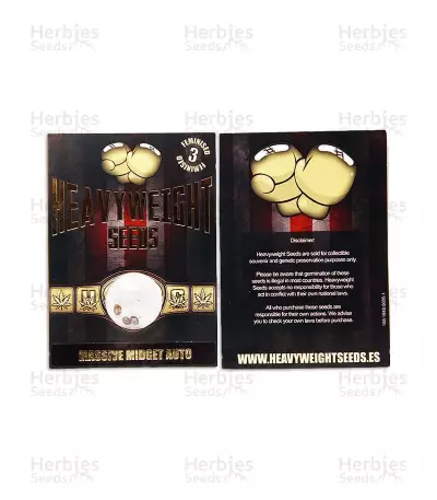 Massive Midget Auto (Heavyweight Seeds) Cannabis-Samen
