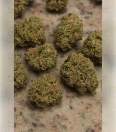 Future #1 (Blimburn Seeds)