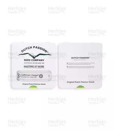 Californian Orange (Dutch Passion) Cannabis-Samen