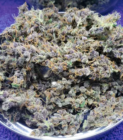 LSD Auto (Barney's Farm) Cannabis-Samen