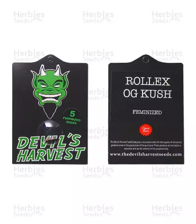 Rollex OG Kush (Devils Harvest Seeds) Cannabis-Samen