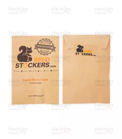 Santa Marta Haze Autoflower (Seedstockers) Cannabis-Samen
