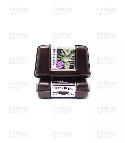 Jack Herer (Kera Seeds) Cannabis-Samen