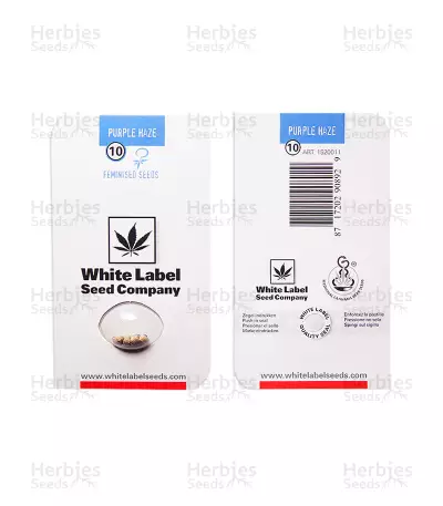 Purple Haze (White Label) Cannabis-Samen