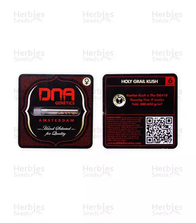 Holy Grail Kush (DNA Genetics) Cannabis-Samen