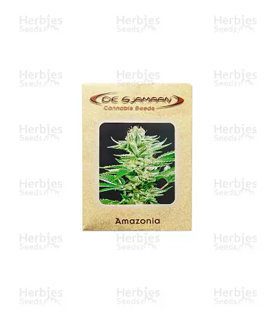 Amazonia regular (De Sjamaan Seeds) Cannabis-Samen