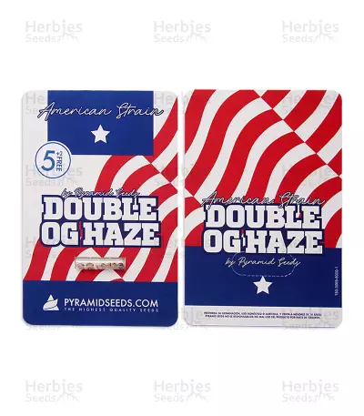 Double OG Haze (Pyramid Seeds) Cannabis-Samen