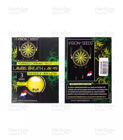 Lamb's Breath x AK-49 (Vision Seeds) Cannabis-Samen