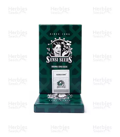 Ruderalis Skunk regular (Sensi Seeds) Cannabis-Samen