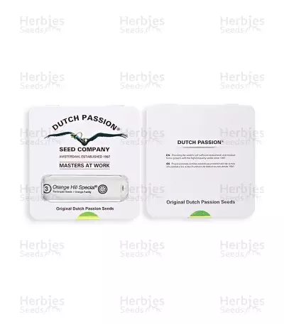 Orange Hill Special (Dutch Passion) Cannabis-Samen