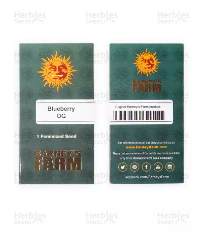 Blueberry OG strain seeds