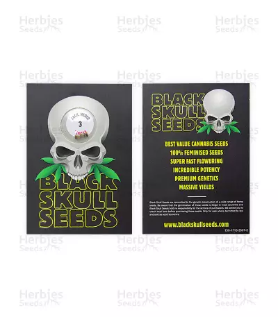 Jack Herer (Blackskull Seeds) Cannabis-Samen