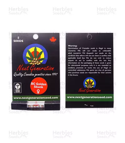BC Golden Skunk (Next Generation Seeds) Cannabis-Samen