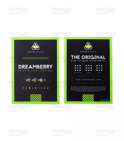 Dreamberry Auto (Auto Seeds) Cannabis-Samen