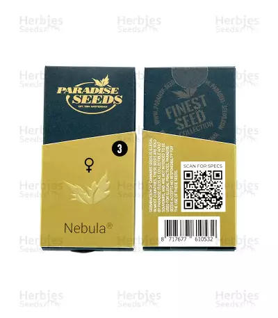 Nebula (Paradise Seeds) Cannabis-Samen
