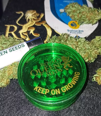 Tatanka Pure CBD feminisiertes Saatgut (RQS)