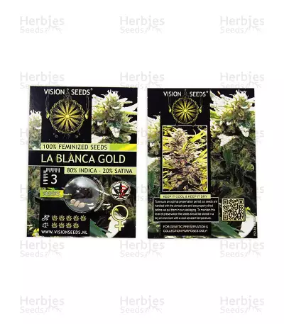 La Blanca Gold (Vision Seeds) Cannabis-Samen