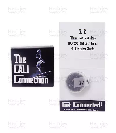 22 (Cali Connection Seeds) Cannabis-Samen