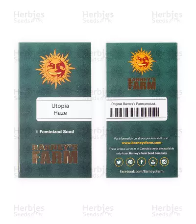 Utopia Haze (Barney's Farm) Cannabis-Samen