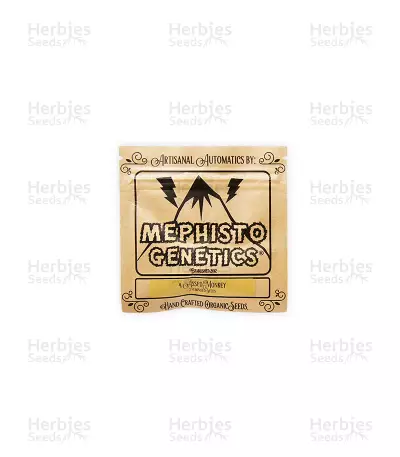 4 Assed Monkey (Mephisto Genetics) Cannabis-Samen