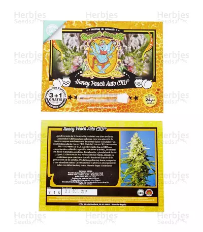 Honey Peach Auto CBD (Sweet Seeds) Cannabis-Samen