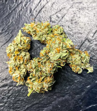 Quarter Pounder Autoflower feminisierte Samen (EGS)